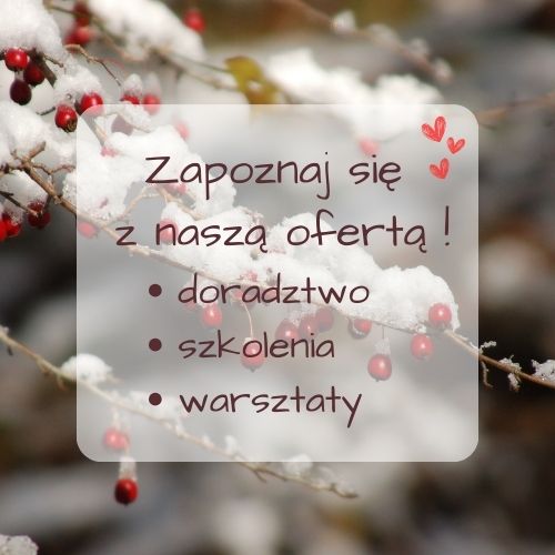 Działania realizowane w  lutym 2025