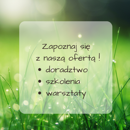 Kopia Projekt bez nazwy