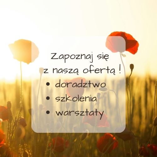 Działania realizowane w sierpniu 2025