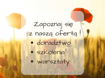Działania realizowane w lipcu